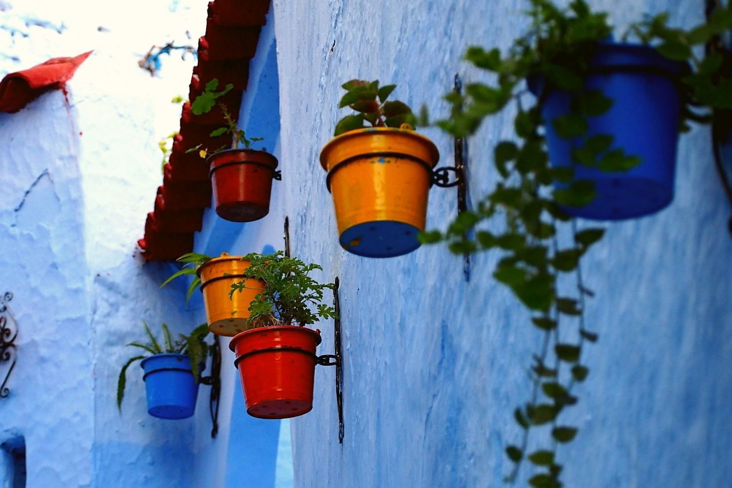 excursion-a-chefchaouen-y-tetuan