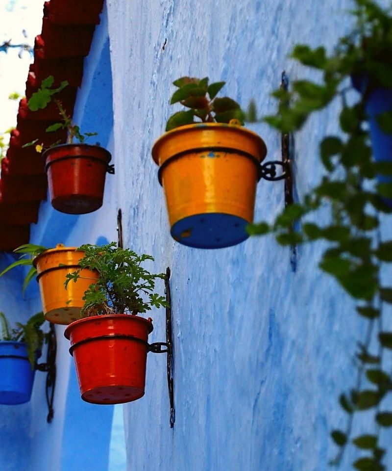 excursion-a-chefchaouen-y-tetuan