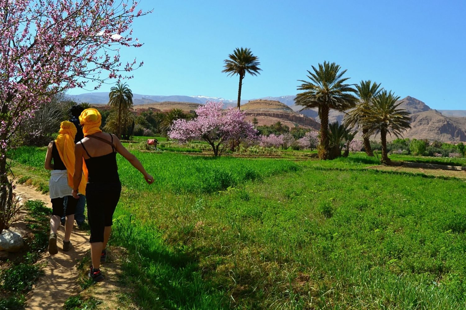 visitar-las-gargantas-de-todra